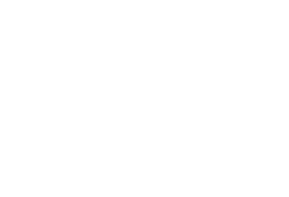 FG Automotores